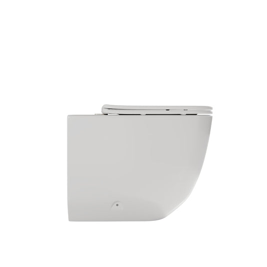 Inodoro compacto ZEN — Blanco Mate Fossil Natura