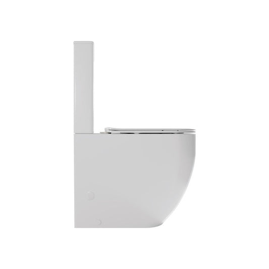 Inodoro de Tanque Bajo Adaptado PMR FOSSIL NATURA JENA | Altura Especial Accesible 48 cm y Tapa Soft-Close - Vista 2