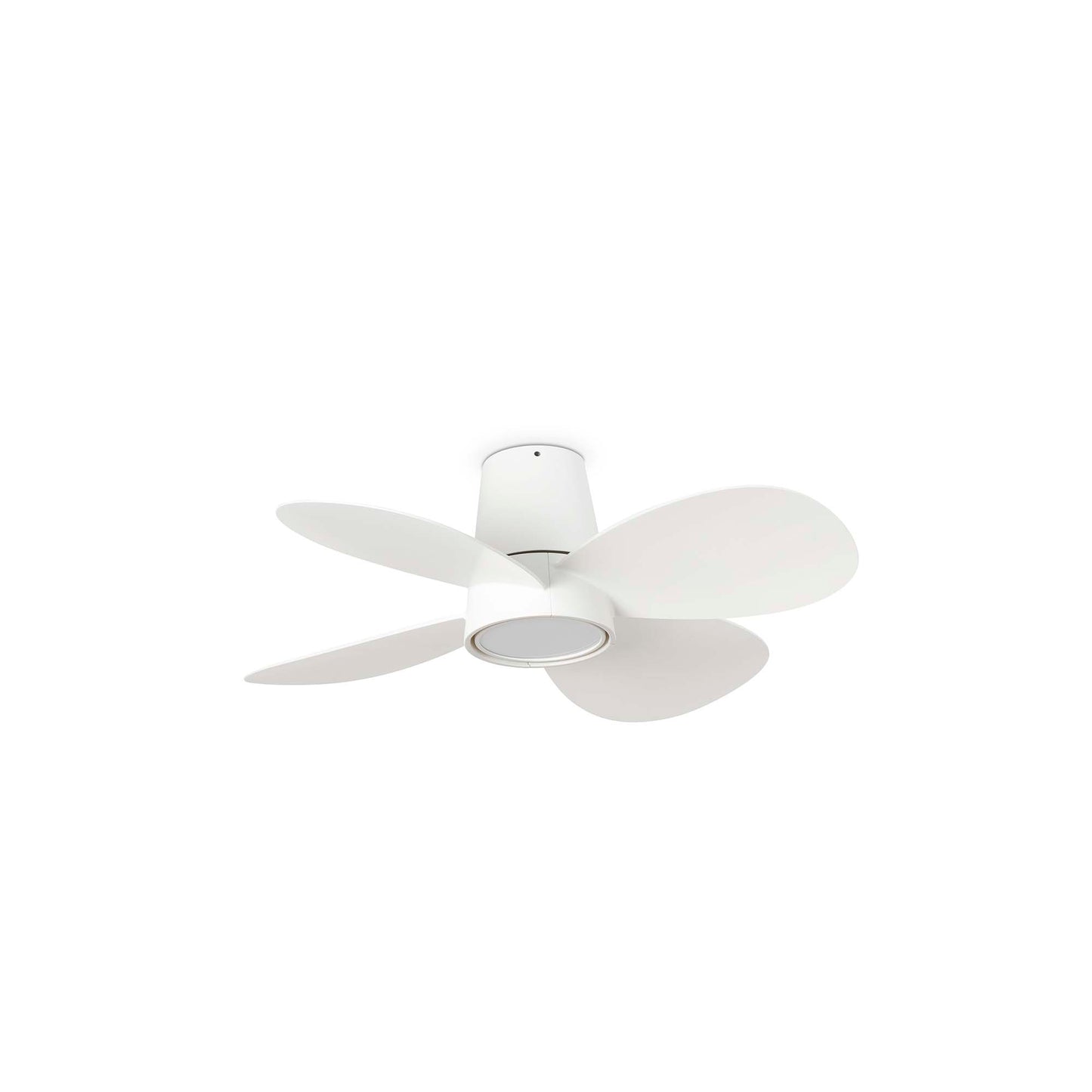 Ventilador de Techo Faro KLOVER S DC Ø80cm Blanco 4 Palas con Luz LED 18W CCT