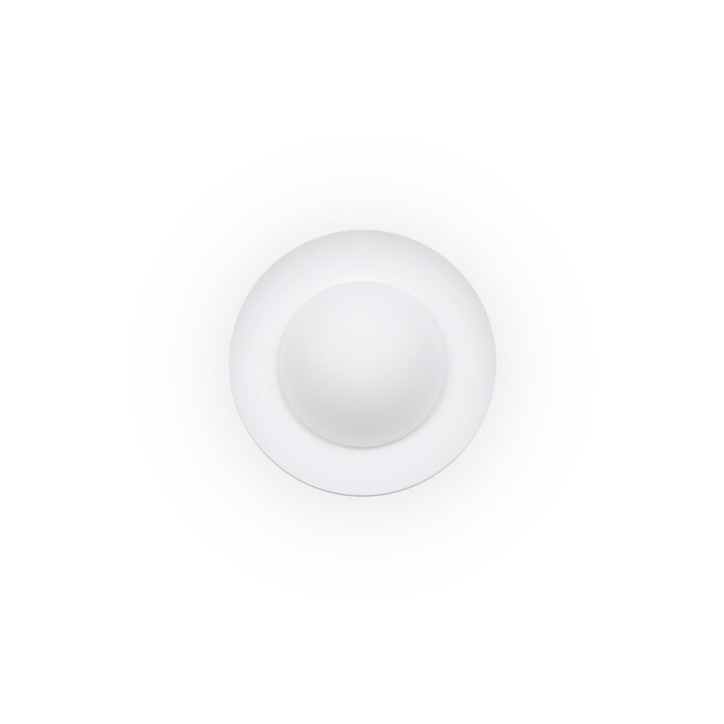 Plafón de Techo Faro SIDE Vidrio Opal y Anillo Metálico G9 Ø20cm - 62132