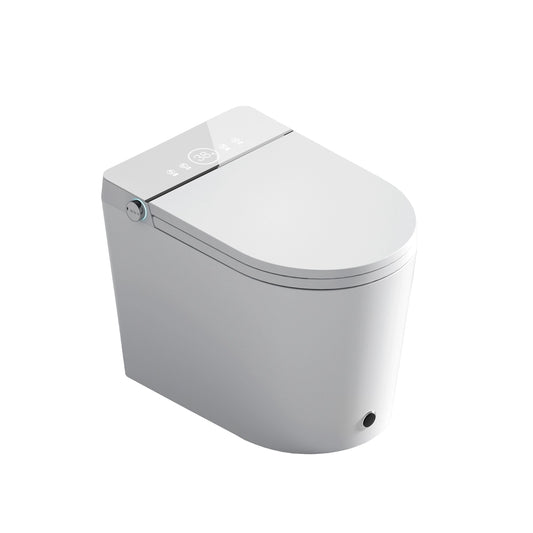 Inodoro Inteligente SMART TOILET FOSSIL NATURA AQUILA