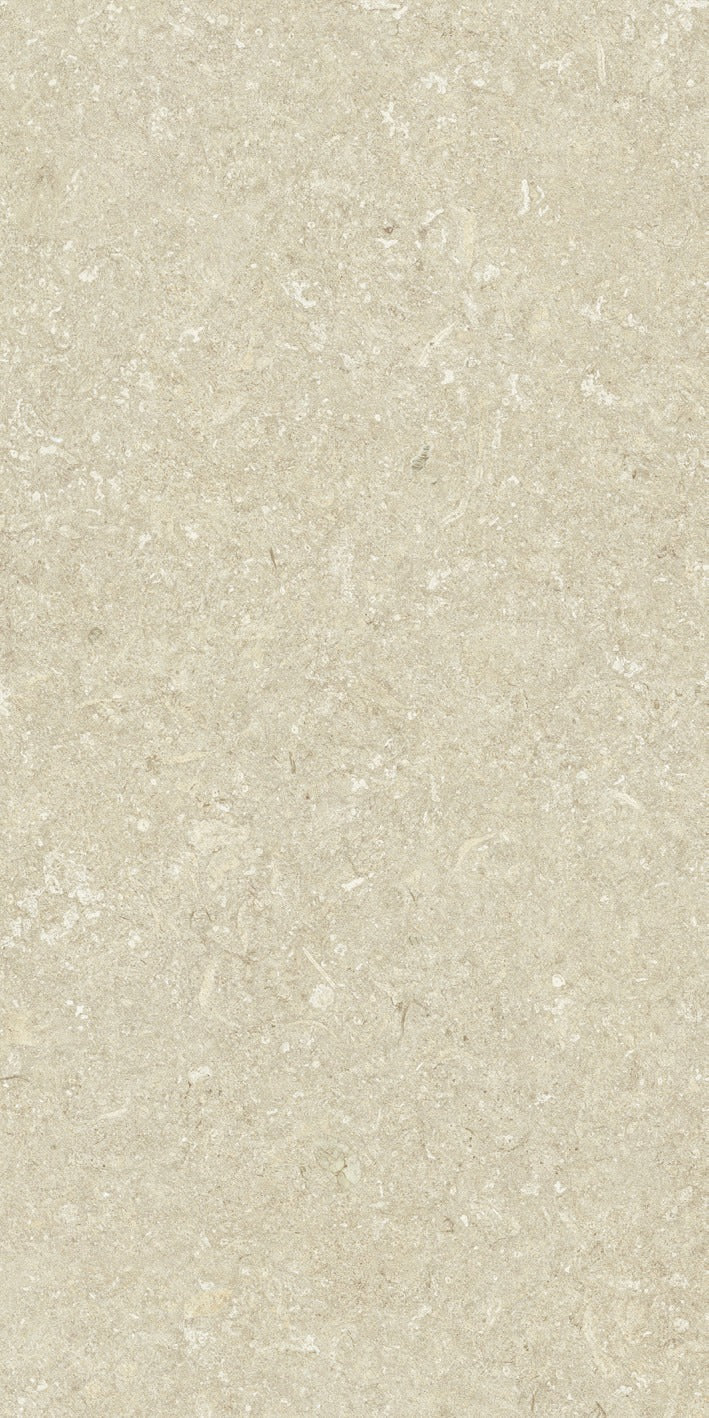 KTL Shellstone Natural 60x120 cm, porcelánico efecto piedra lapado mate 3D rectificado