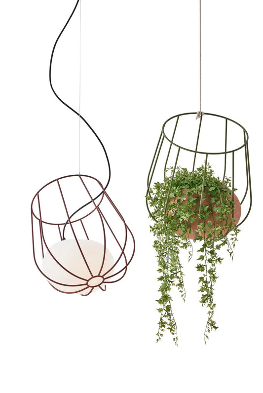 LIGHT PLANT LIGHT MASSMI lampara colgante ambiente
