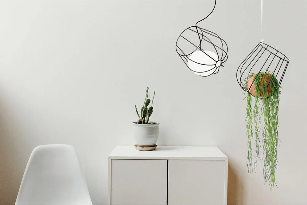 LIGHT PLANT LIGHT MASSMI lampara colgante cesta metalica