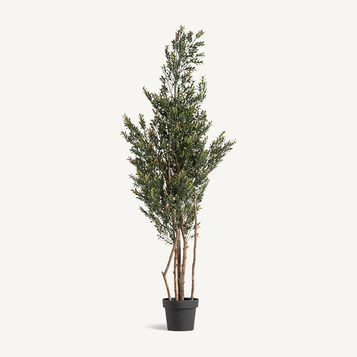 Planta artificial boj Vical verde con maceta negra, arbusto clásico 165 cm