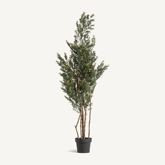 Planta artificial boj Vical verde con maceta negra, arbusto clásico 165 cm