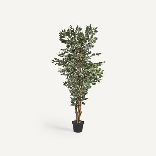 Planta artificial ficus Vical verde con maceta, árbol plegable colonial 175 cm
