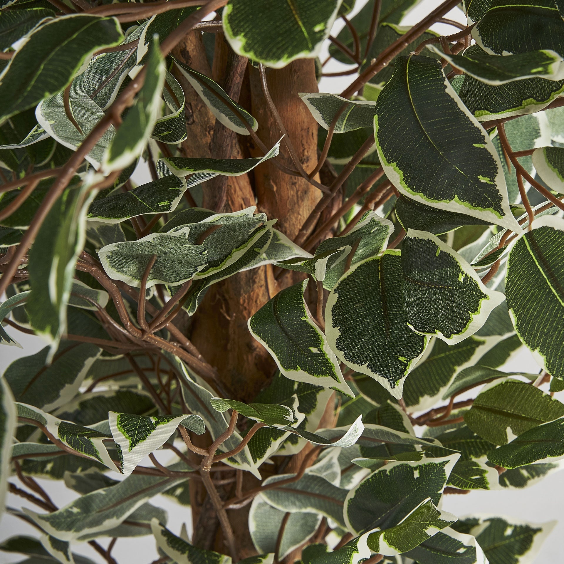 Detalle hojas verde vibrante ficus artificial Vical