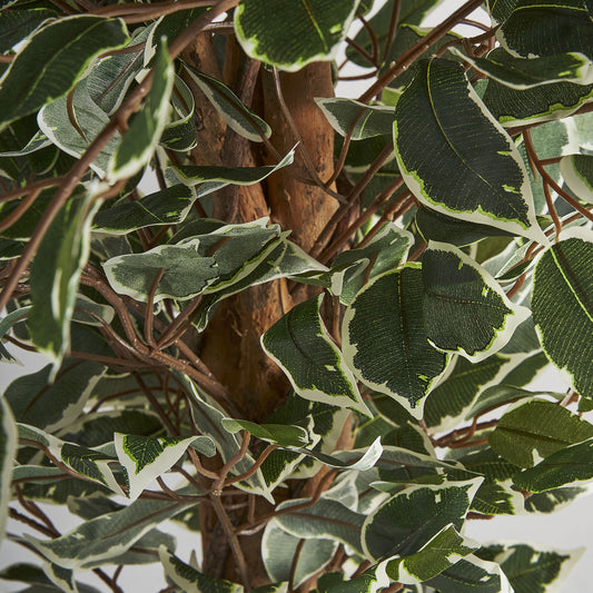 Detalle hojas verde vibrante ficus artificial Vical