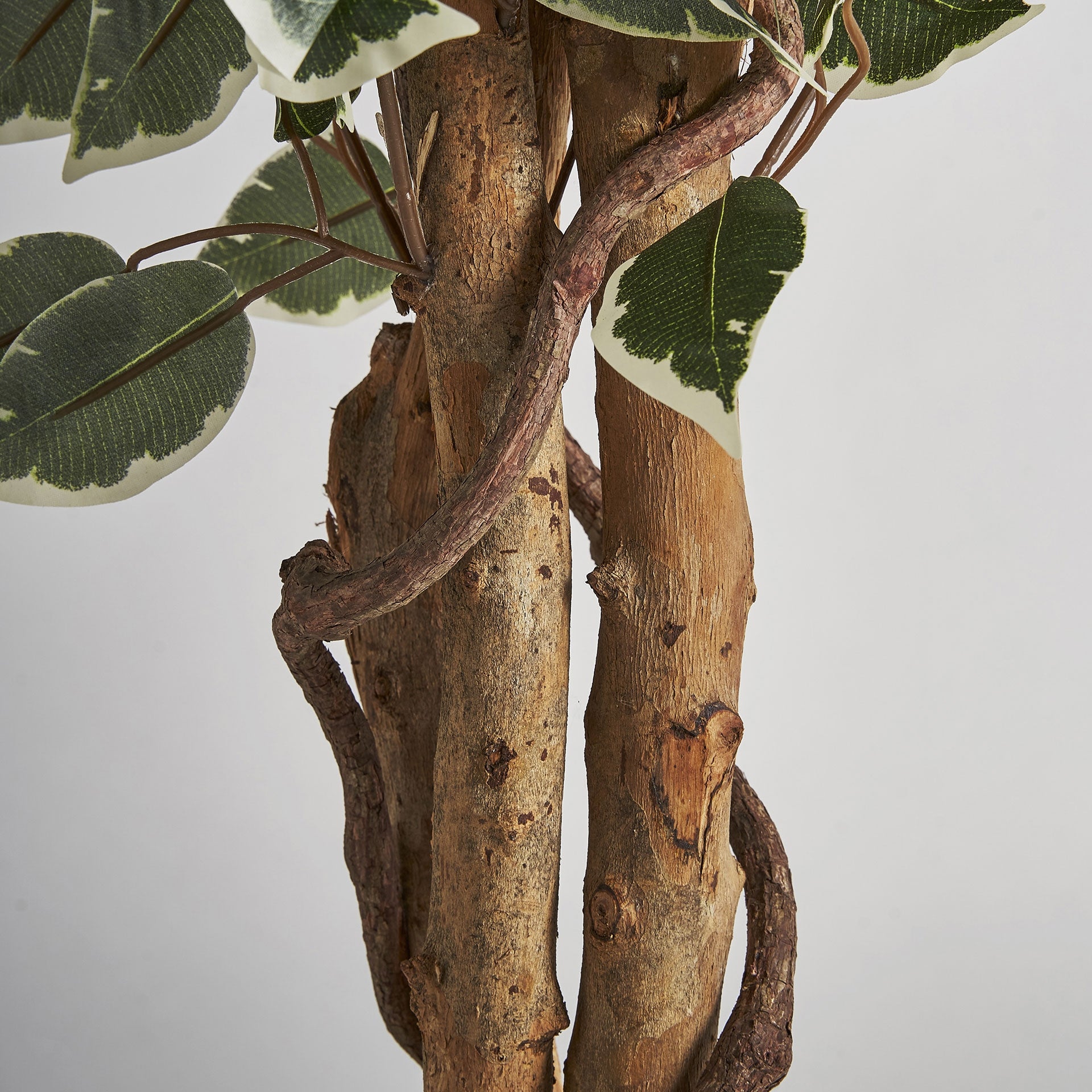 Detalle ramas plegables ficus artificial Vical
