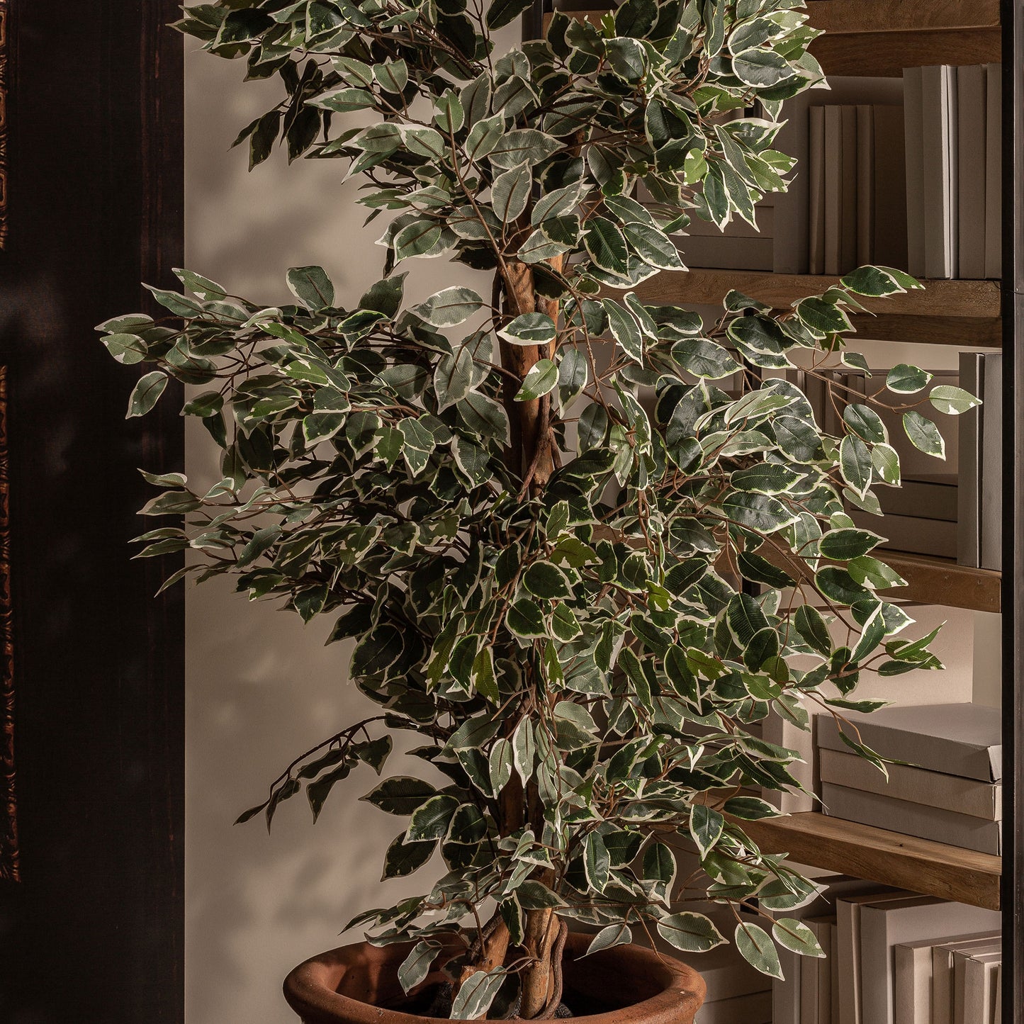 Ficus artificial Vical vista completa