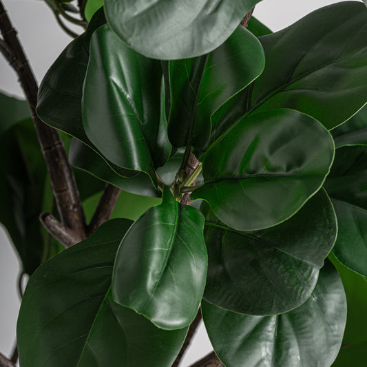 Detalle hojas grandes ficus lyrata artificial Vical