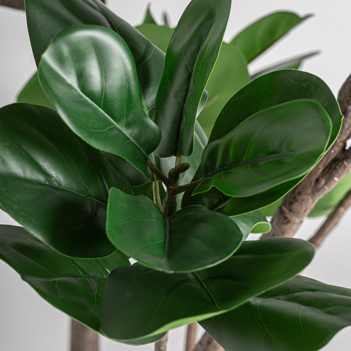 Ficus lyrata artificial Vical en ambiente salón