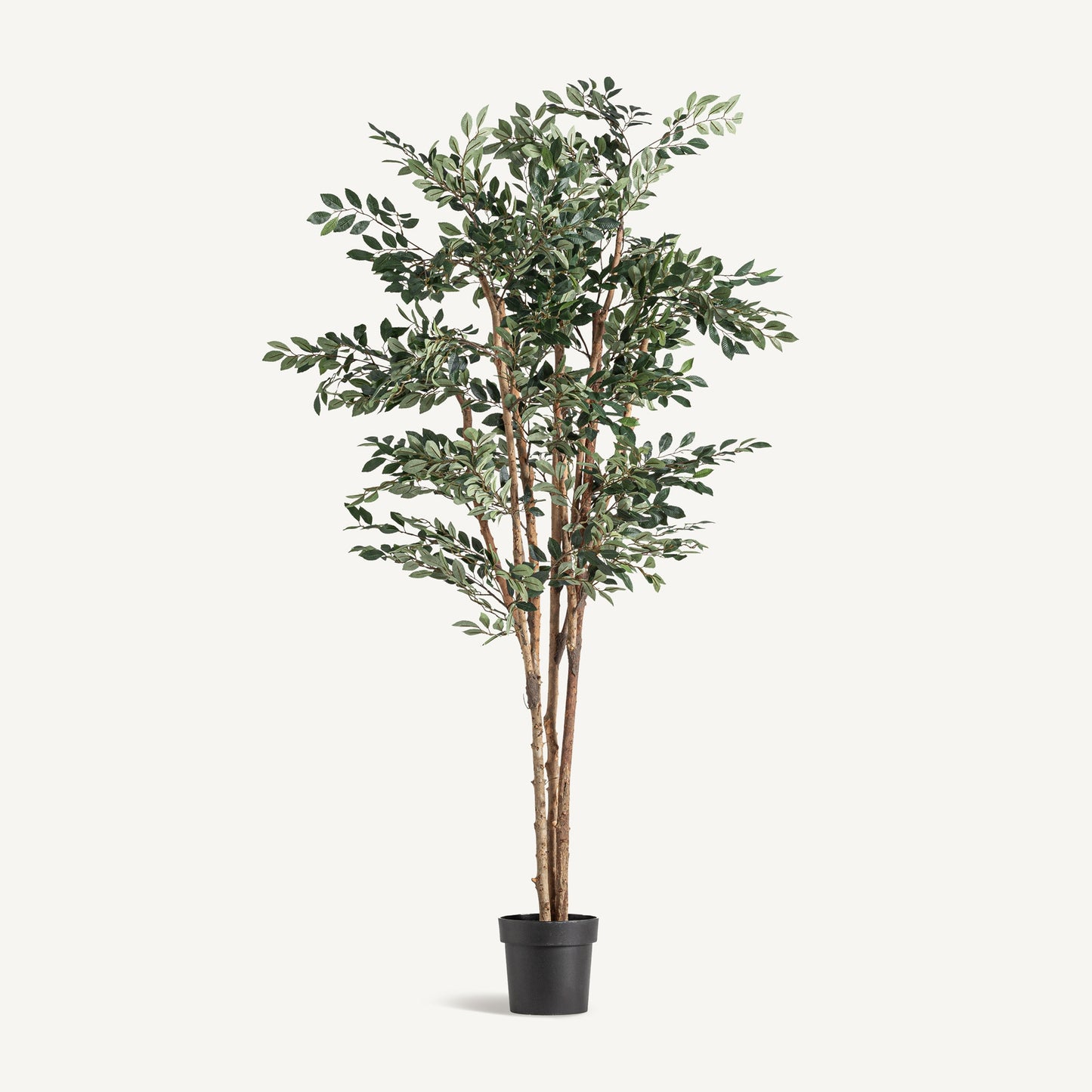 Planta artificial ficus Vical verde con maceta negra, árbol plegable 210 cm