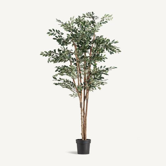 Planta artificial ficus Vical verde con maceta negra, árbol plegable 210 cm