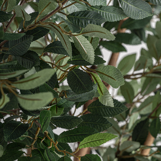 Detalle hojas ficus artificial Vical 210 cm