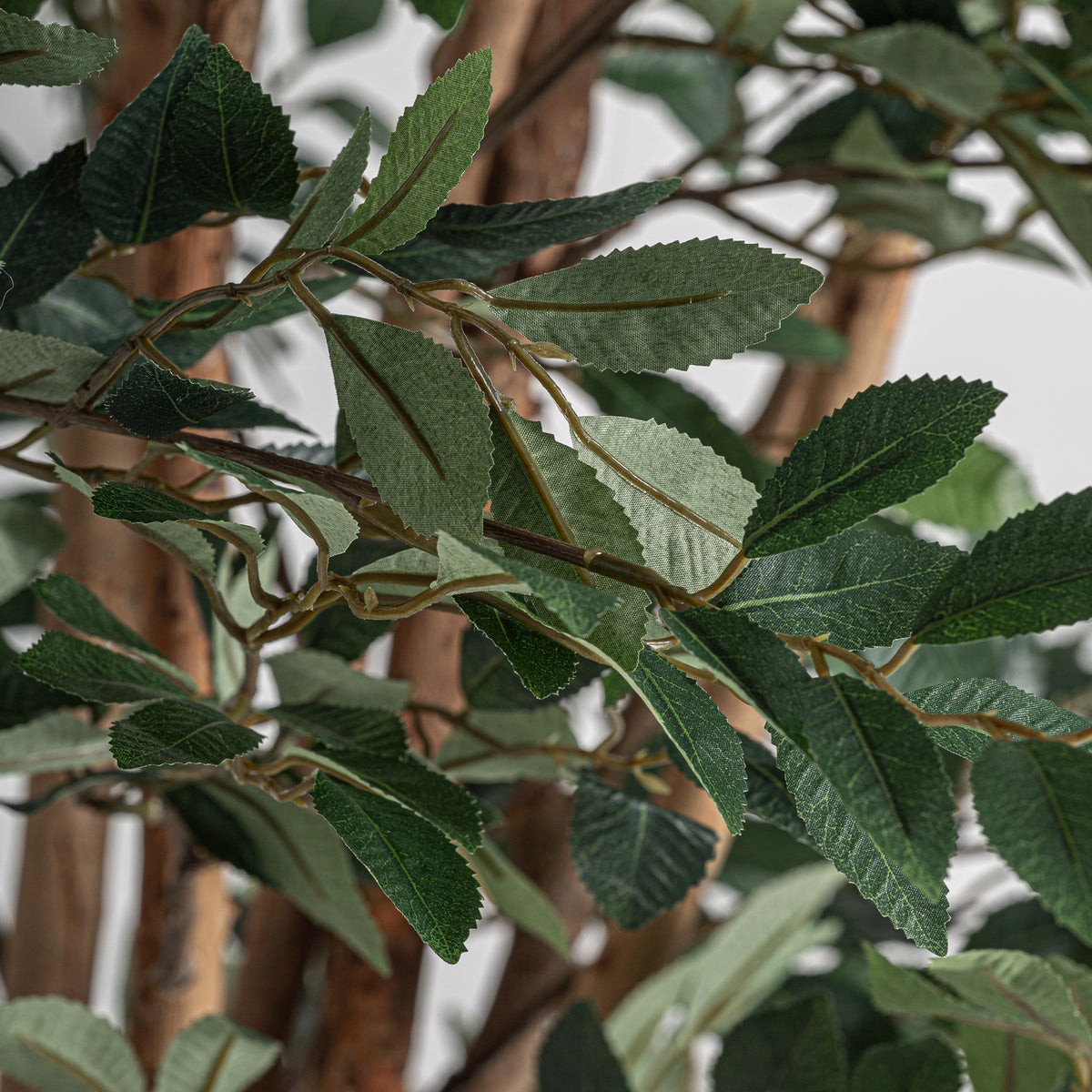Ficus artificial Vical en ambiente salón