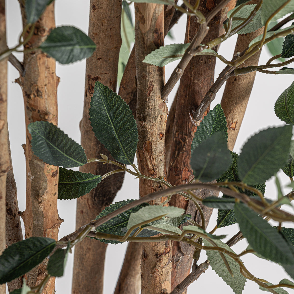 Detalle tronco madera ficus artificial Vical