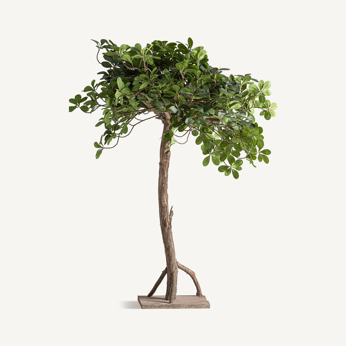 Planta artificial ficus Vical tronco madera natural y fibra verde, bonsai decorativo 90 cm