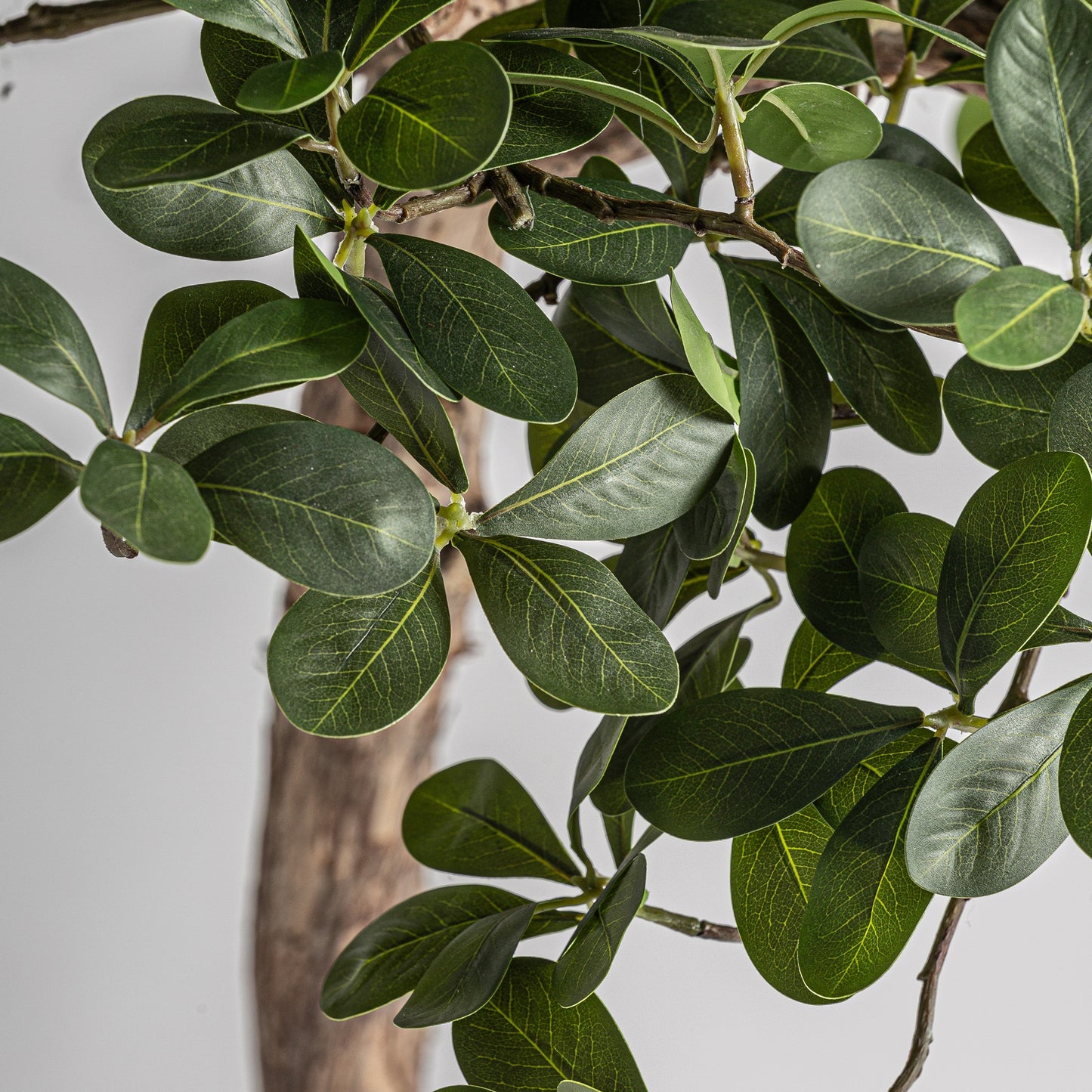 Detalle copa fibra natural ficus artificial Vical