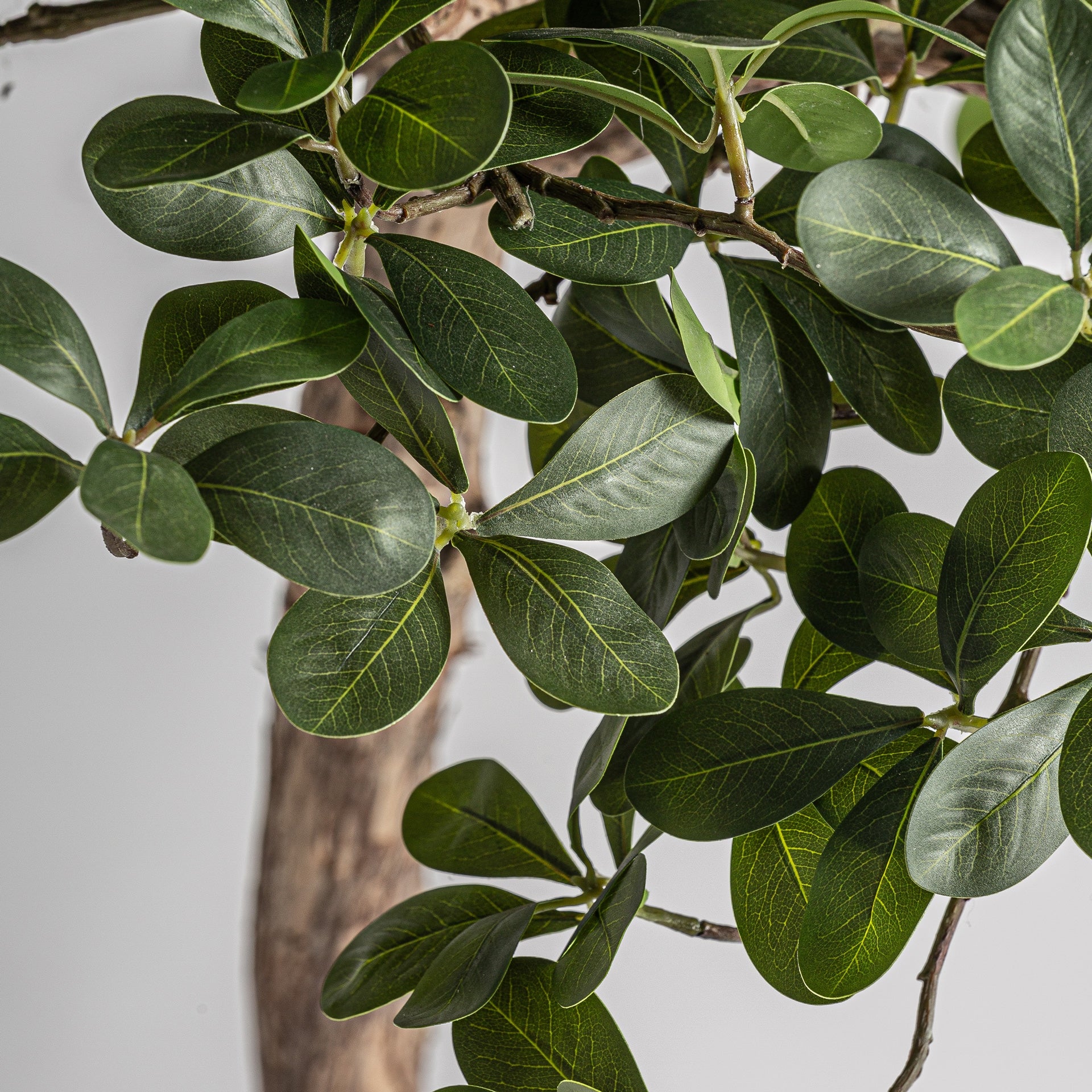 Detalle copa fibra natural ficus artificial Vical