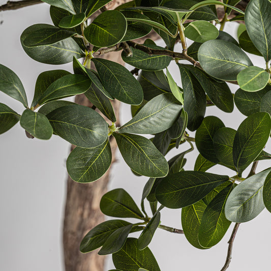 Detalle copa fibra natural ficus artificial Vical