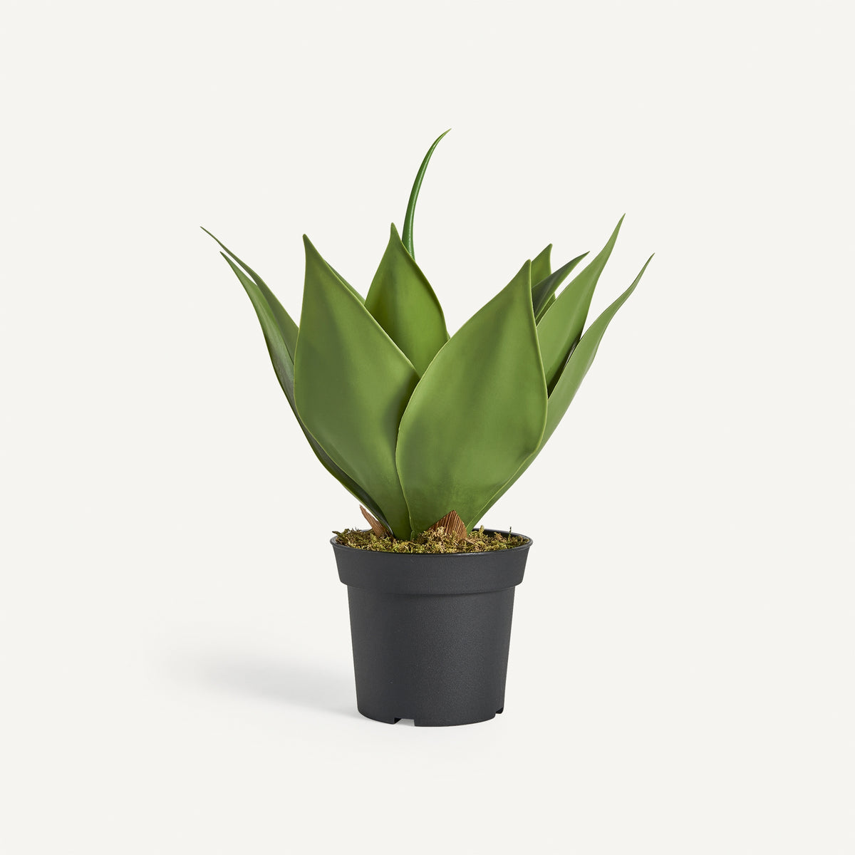 Planta artificial lotus Vical verde con maceta, suculenta decorativa 45 cm