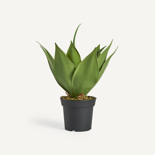 Planta artificial lotus Vical verde con maceta, suculenta decorativa 45 cm
