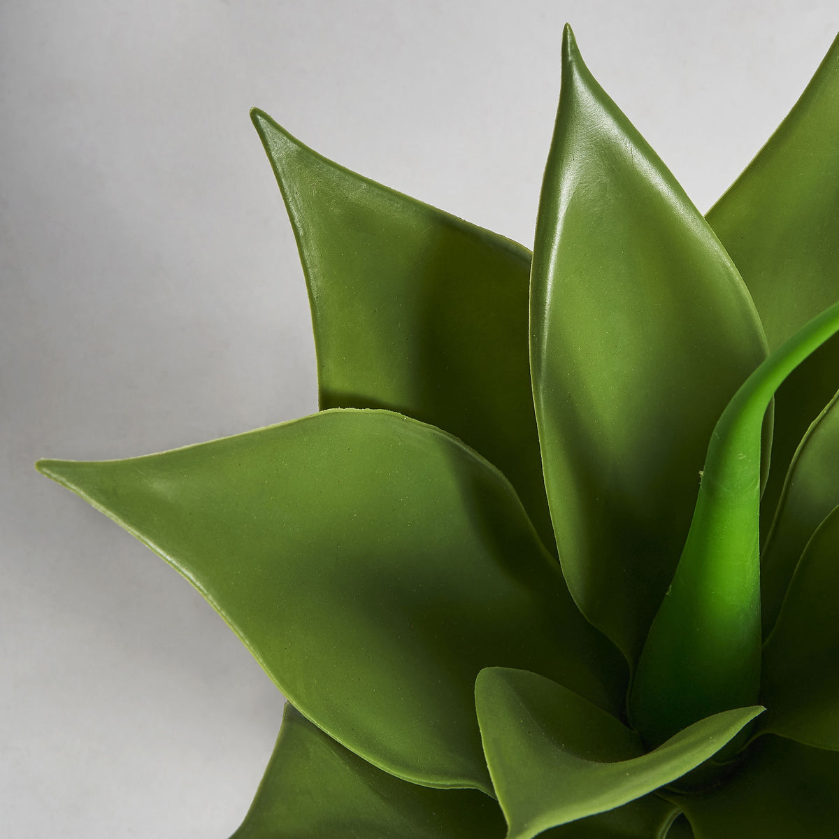 Planta lotus artificial Vical en ambiente interior