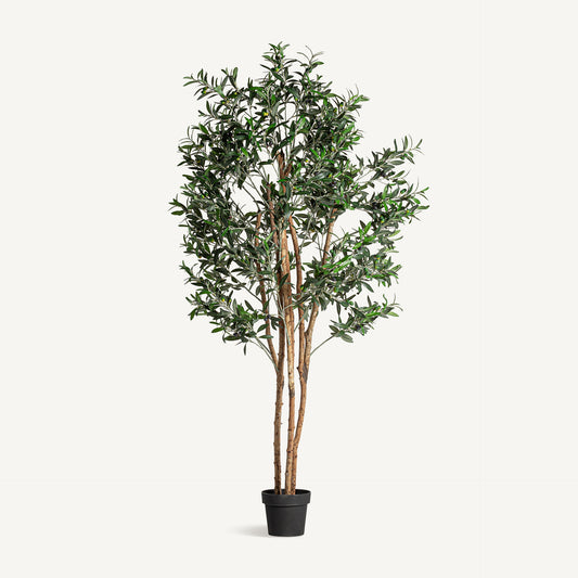 Planta artificial olivo Vical verde con maceta negra, árbol mediterráneo 190 cm