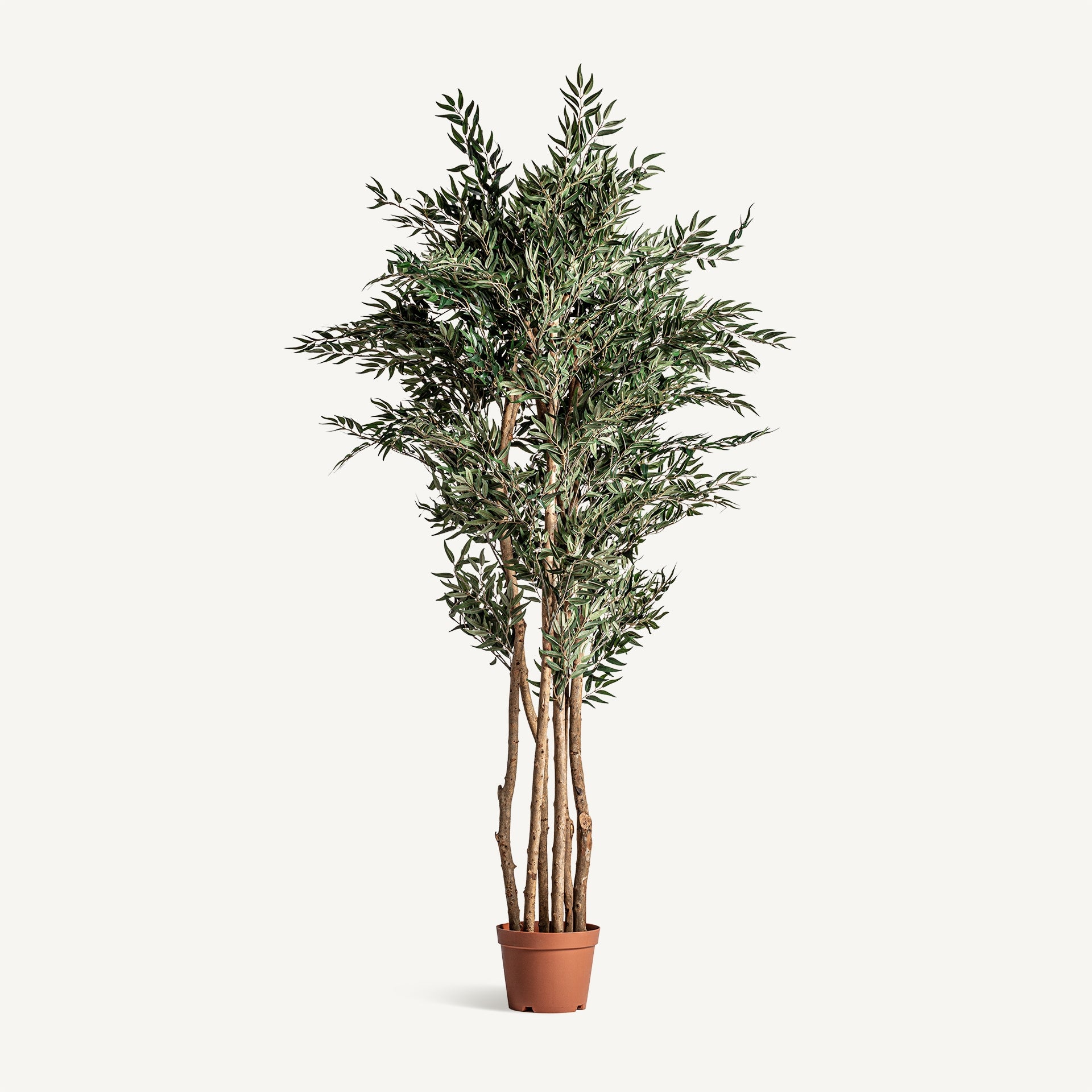 Planta artificial olivo Vical verde con maceta terracota, árbol mediterráneo 205 cm