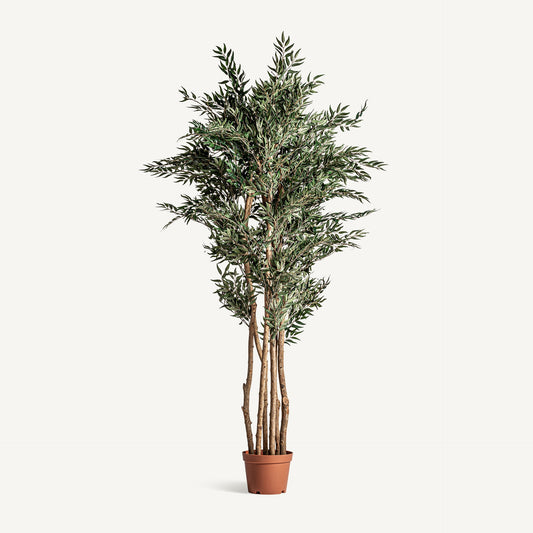 Planta artificial olivo Vical verde con maceta terracota, árbol mediterráneo 205 cm