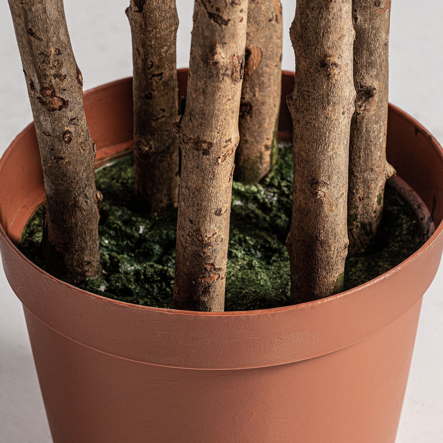 Detalle hojas olivo artificial Vical 205 cm
