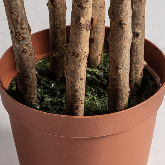 Detalle hojas olivo artificial Vical 205 cm