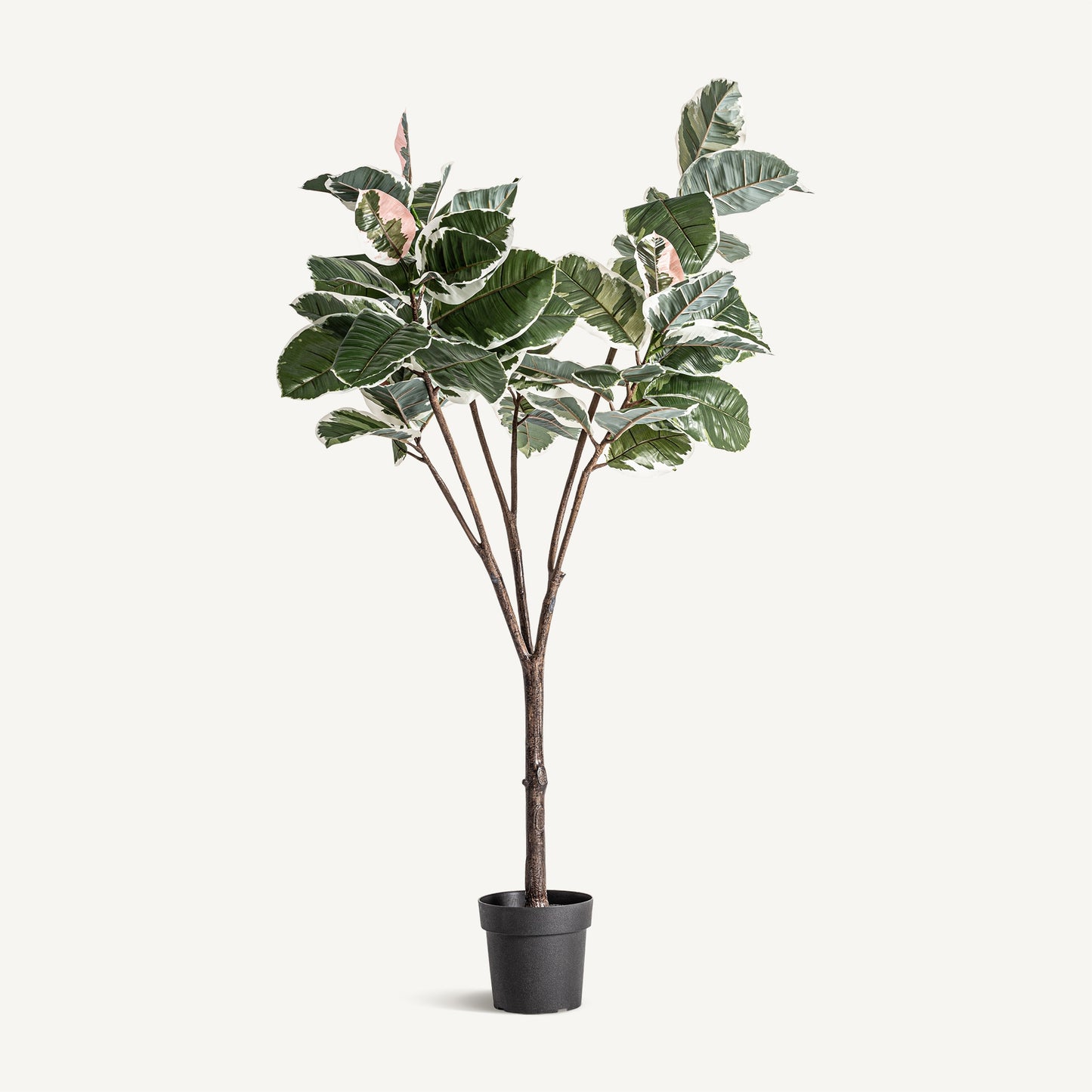 Planta artificial roble blanco Vical verde con maceta, árbol decorativo 178 cm