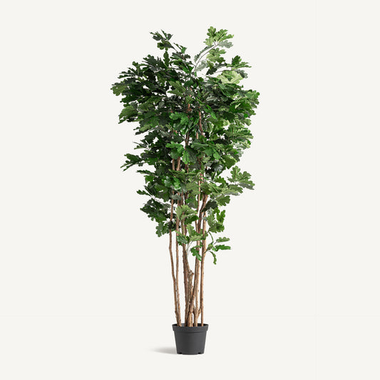 Planta artificial roble Vical verde con maceta negra, árbol frondoso 210 cm