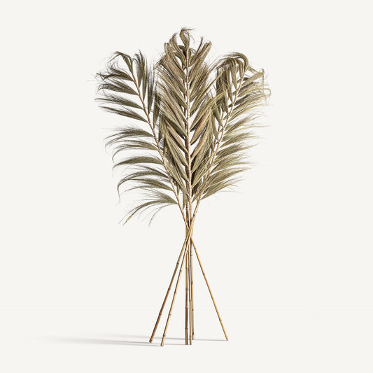 Rama decorativa palma Vical set 6 hojas de palmera secas fibra natural marrón 230 cm