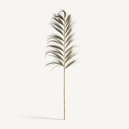 Detalle hoja de palmera seca rama decorativa Vical