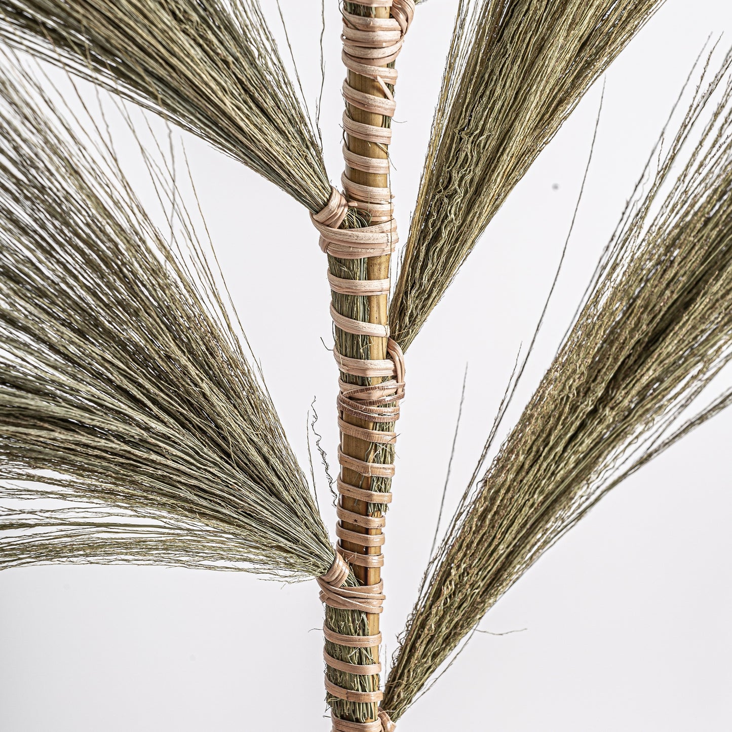Ramas de palmera Vical en tinaja ambiente natural