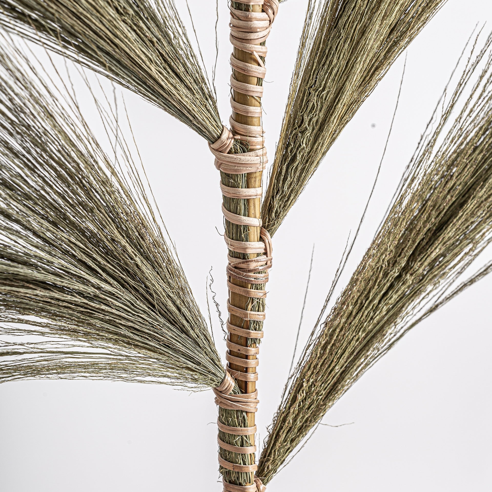 Ramas de palmera Vical en tinaja ambiente natural