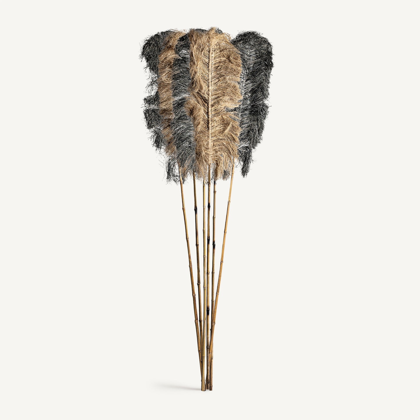 Rama decorativa Jerzy Vical set 6 rafia negra y natural, decoración étnica 210 cm